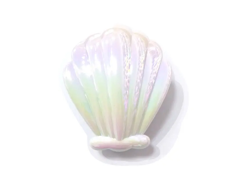 Berus Rambut Kanak-Kanak Penyahkusut Mini Bersadur Berbentuk Shell